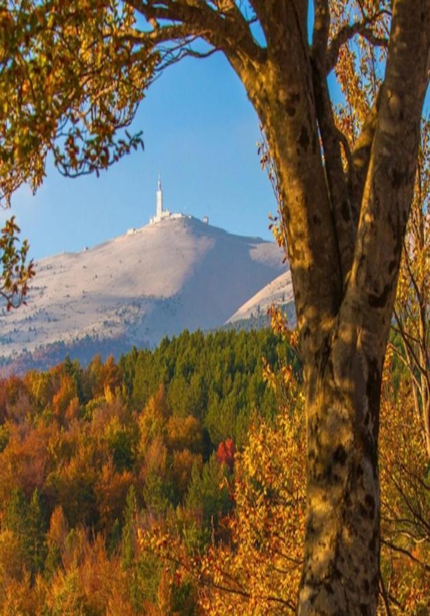 Vila Gite Les Feuilles De Chene Carpentras Exteriér fotografie