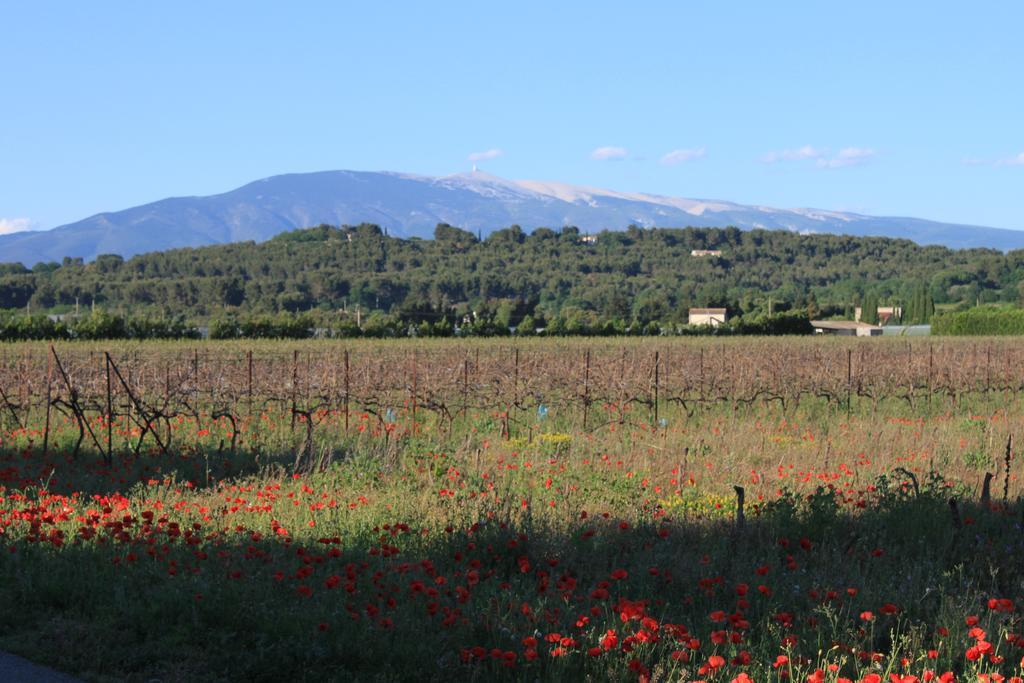 Vila Gite Les Feuilles De Chene Carpentras Exteriér fotografie